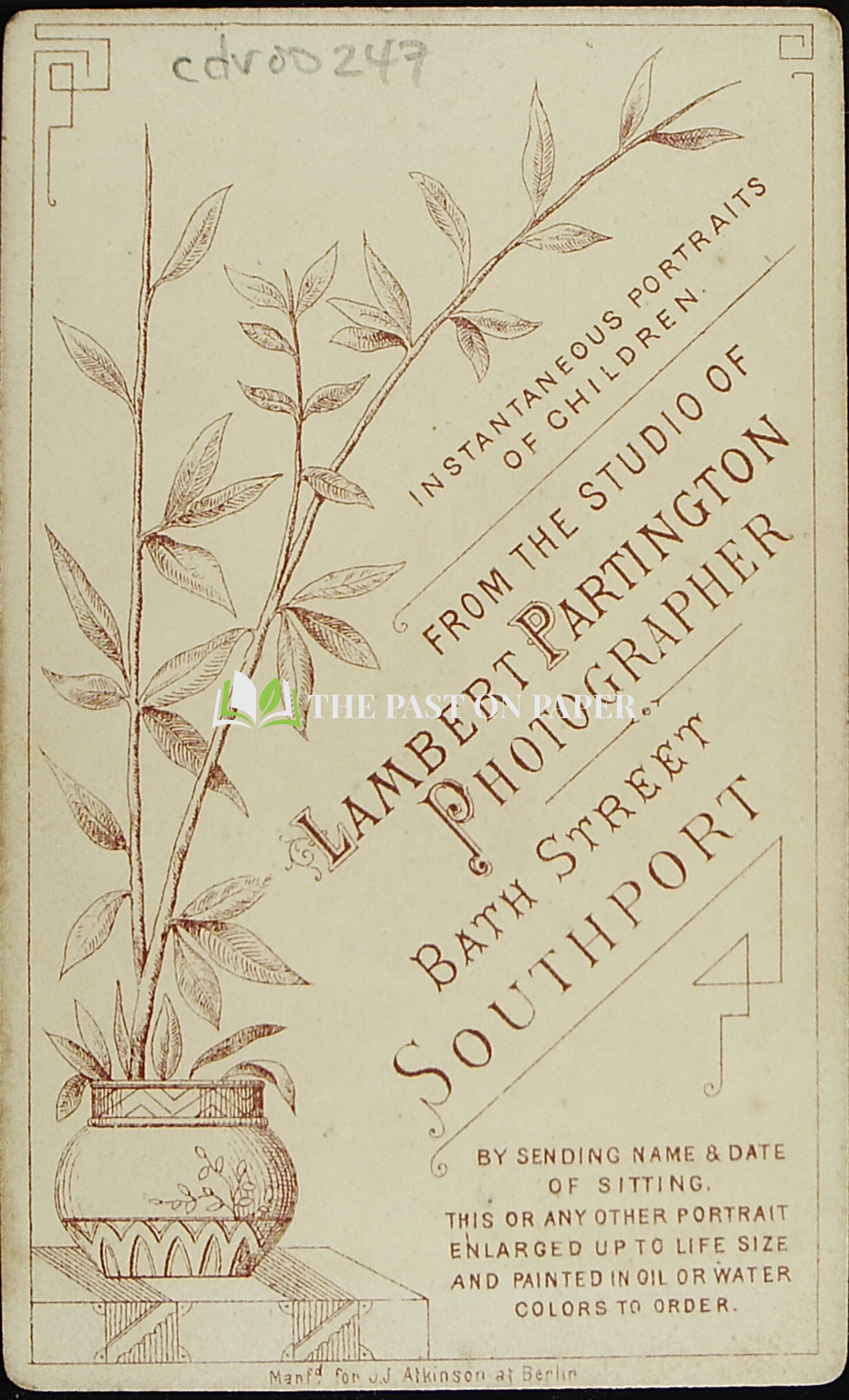 Carte de Visite of Unidentified Gentleman, Southport - Image 2