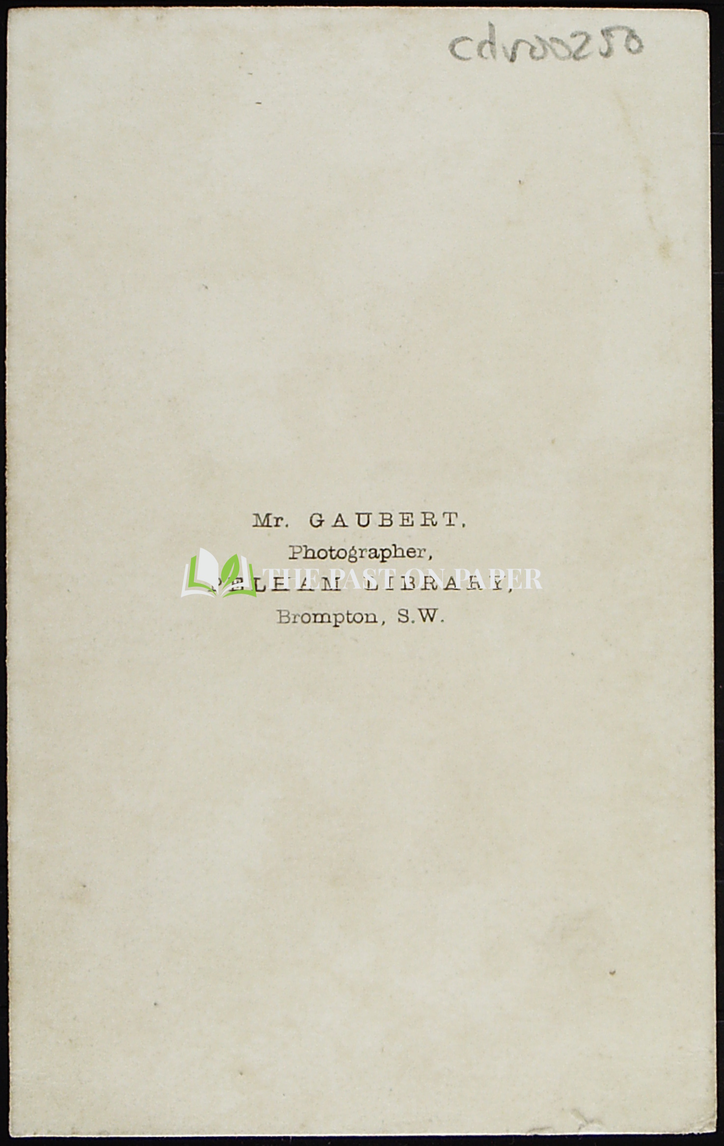 Carte de Visite of Unidentified Gentleman with Stick, London, 1860s - Image 2