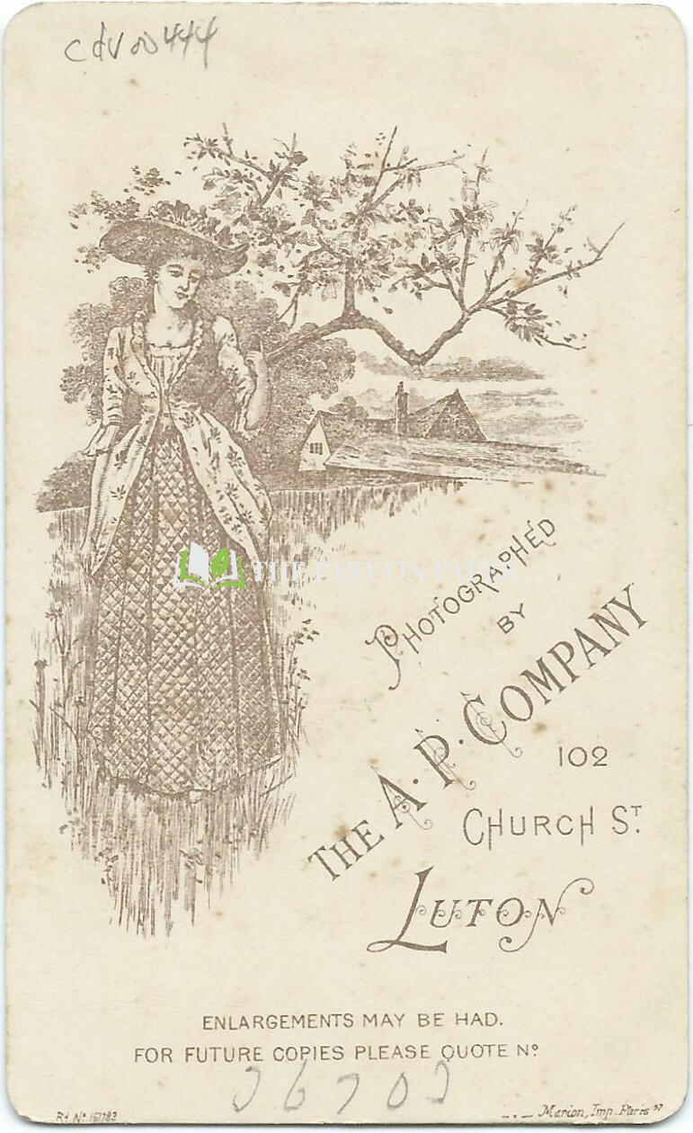 Carte de Visite of Kate Ellwood, Luton, 1880s - Image 2