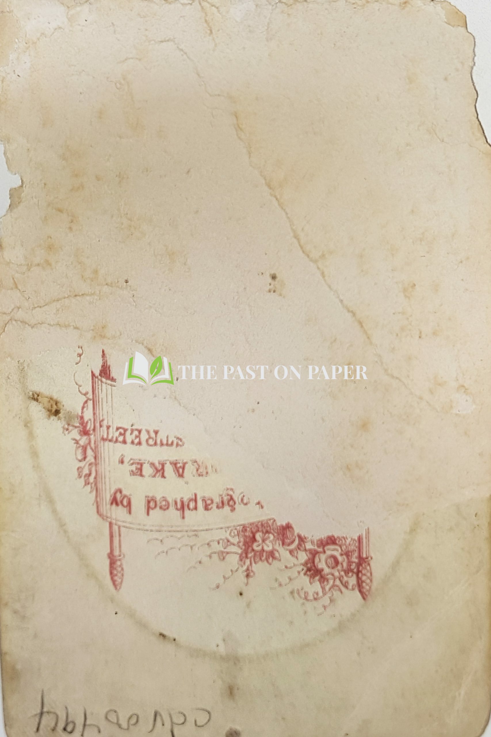 Carte de Visite of Unidentified Baby, 1870s - Image 2