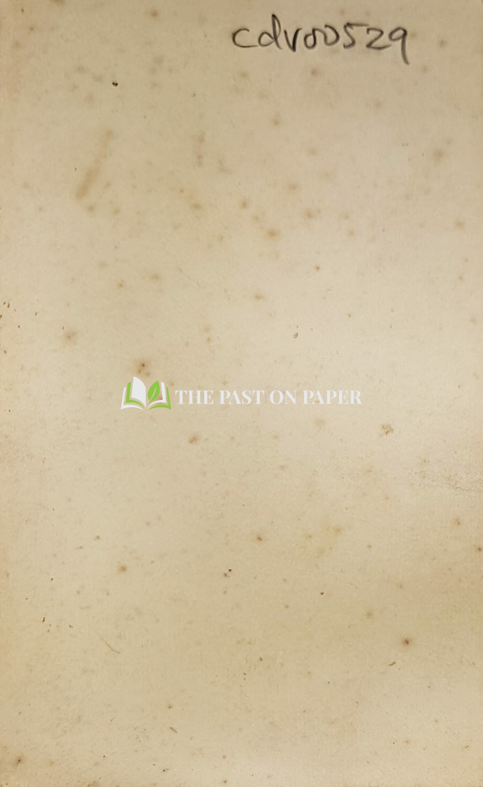 Carte de Visite of Unidentified Gentleman, 1870s - Image 2