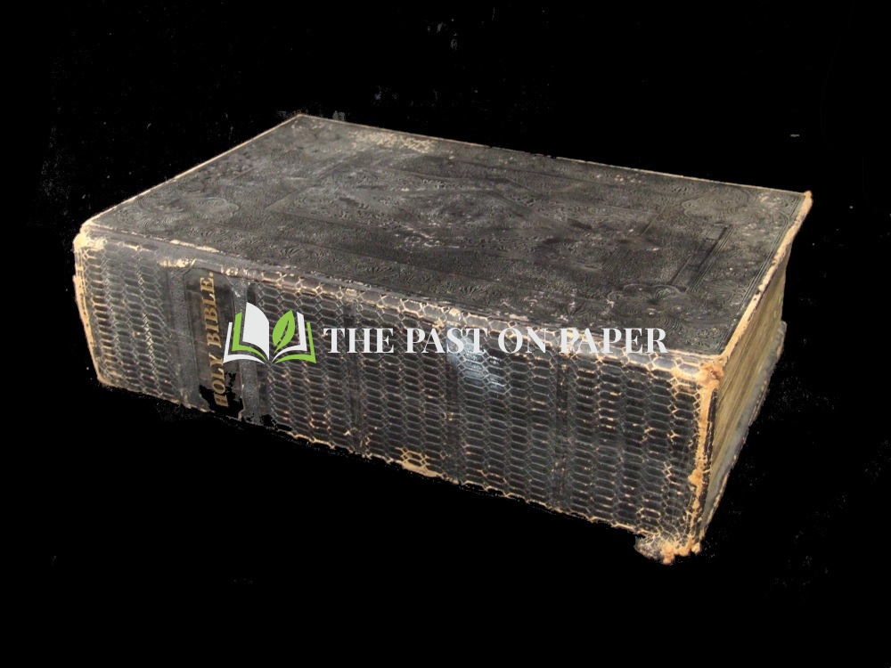 14645-gray-jessie-lydia-emily