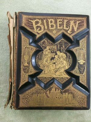 Olson Family Bible