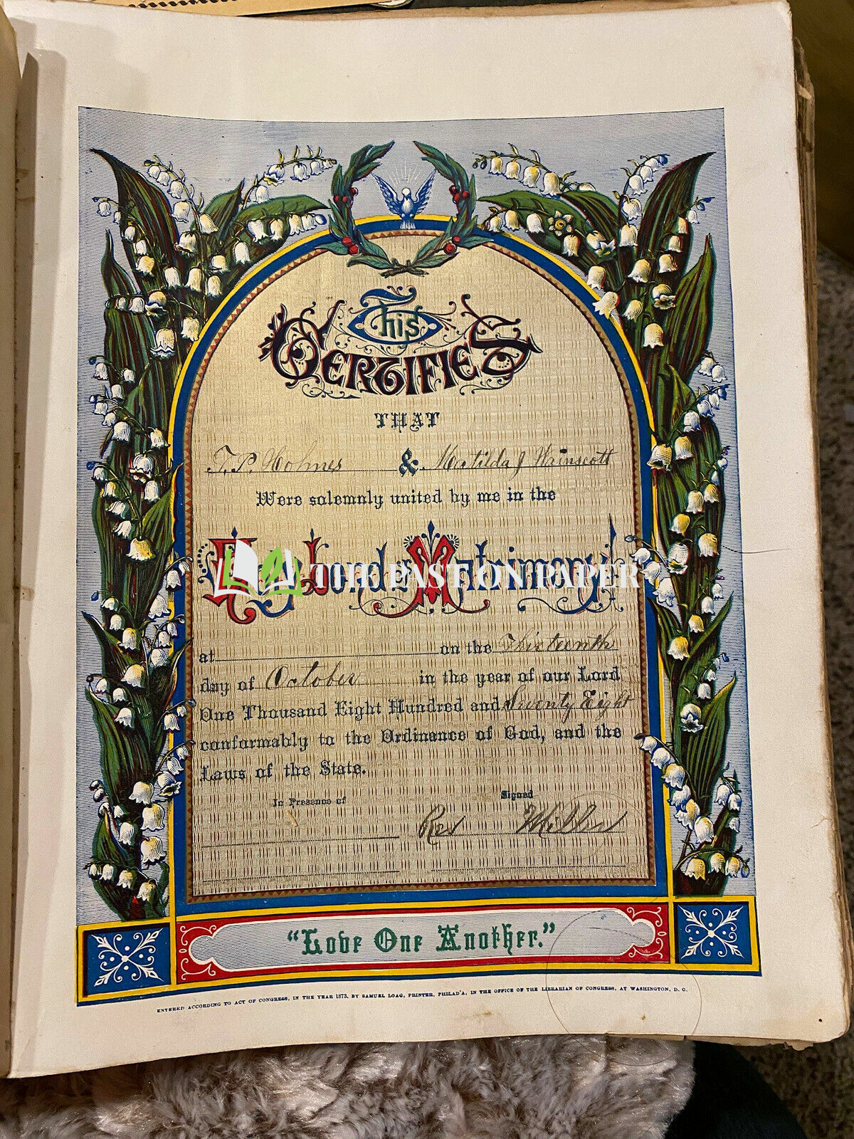 Holmes Family Bible - Image 3