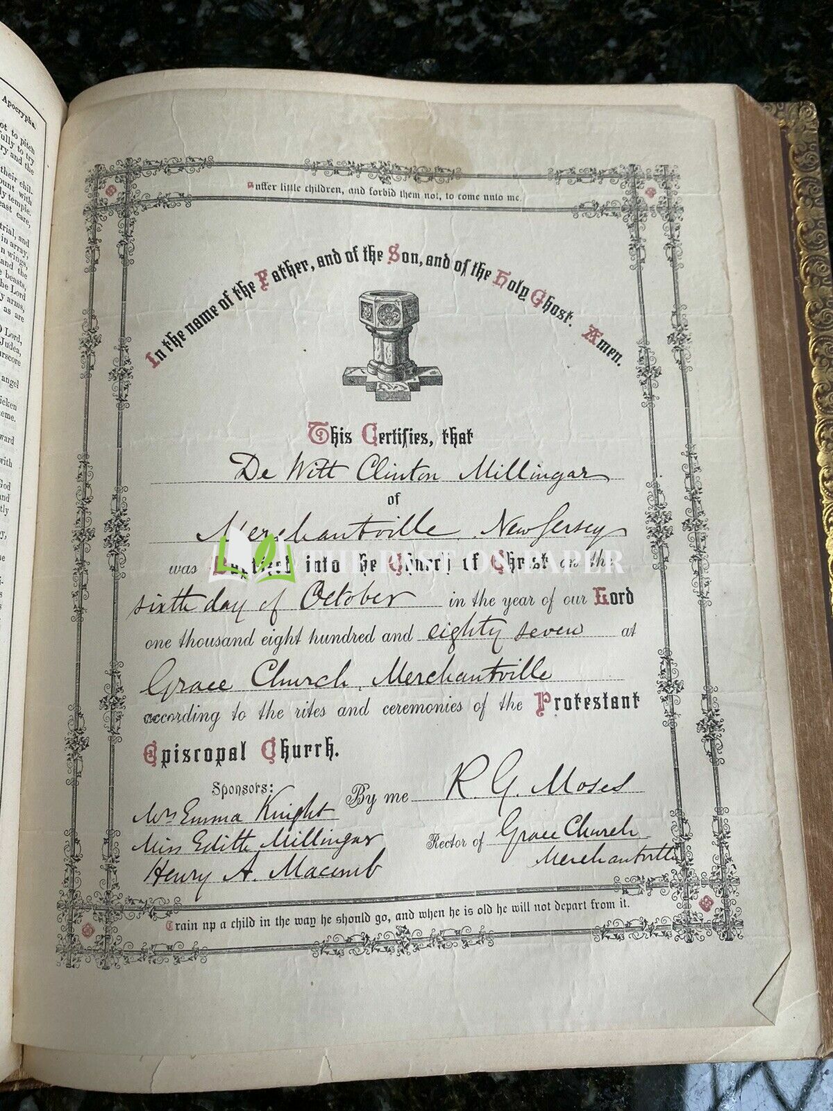 Millingar Family Bible - Image 2