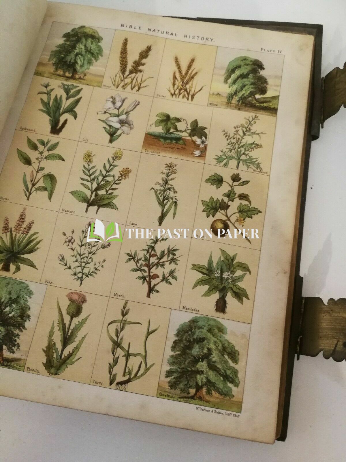 Roberts Family Bible - Image 3