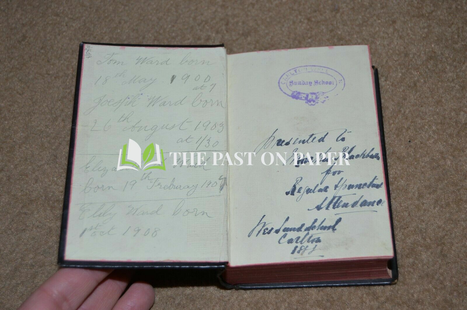 Ward Family Bible - Image 2