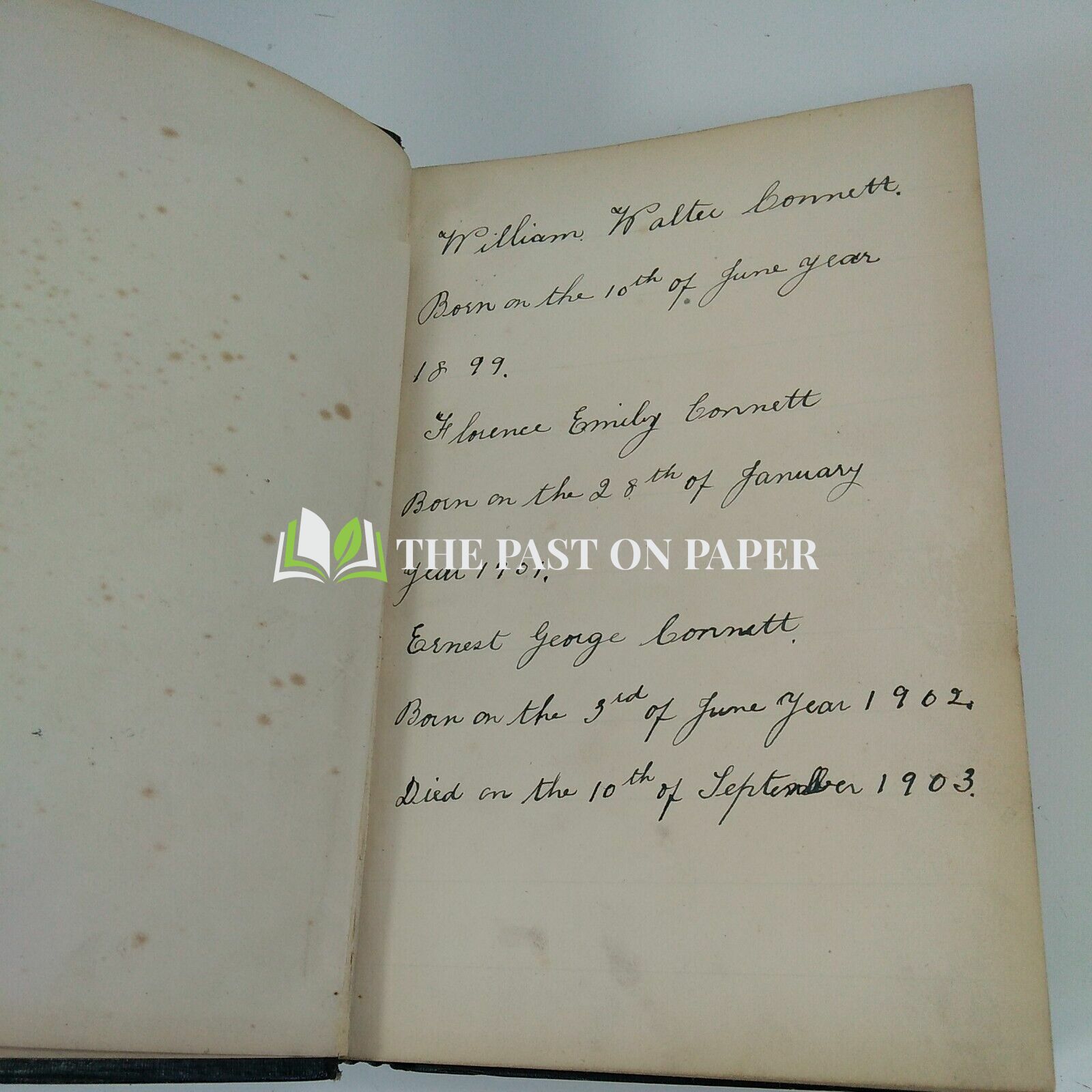 Connett Family Bible - Image 2