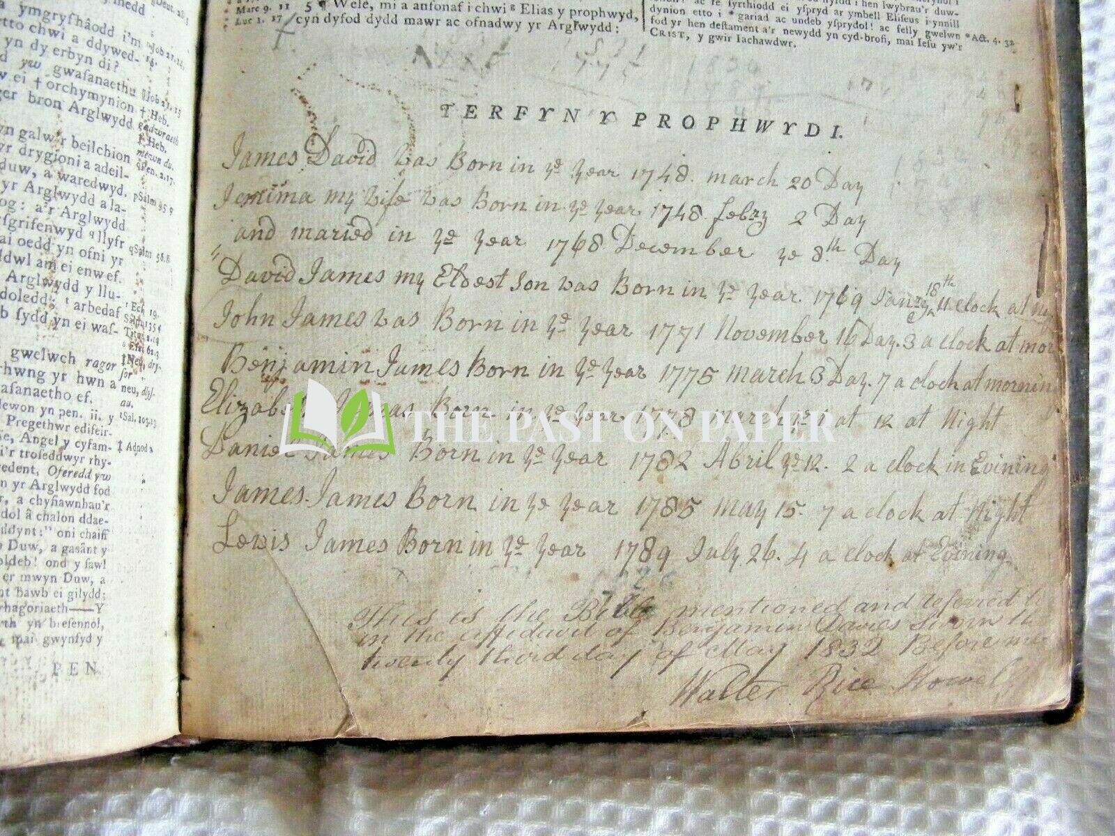 Davies Family Bible - Image 2