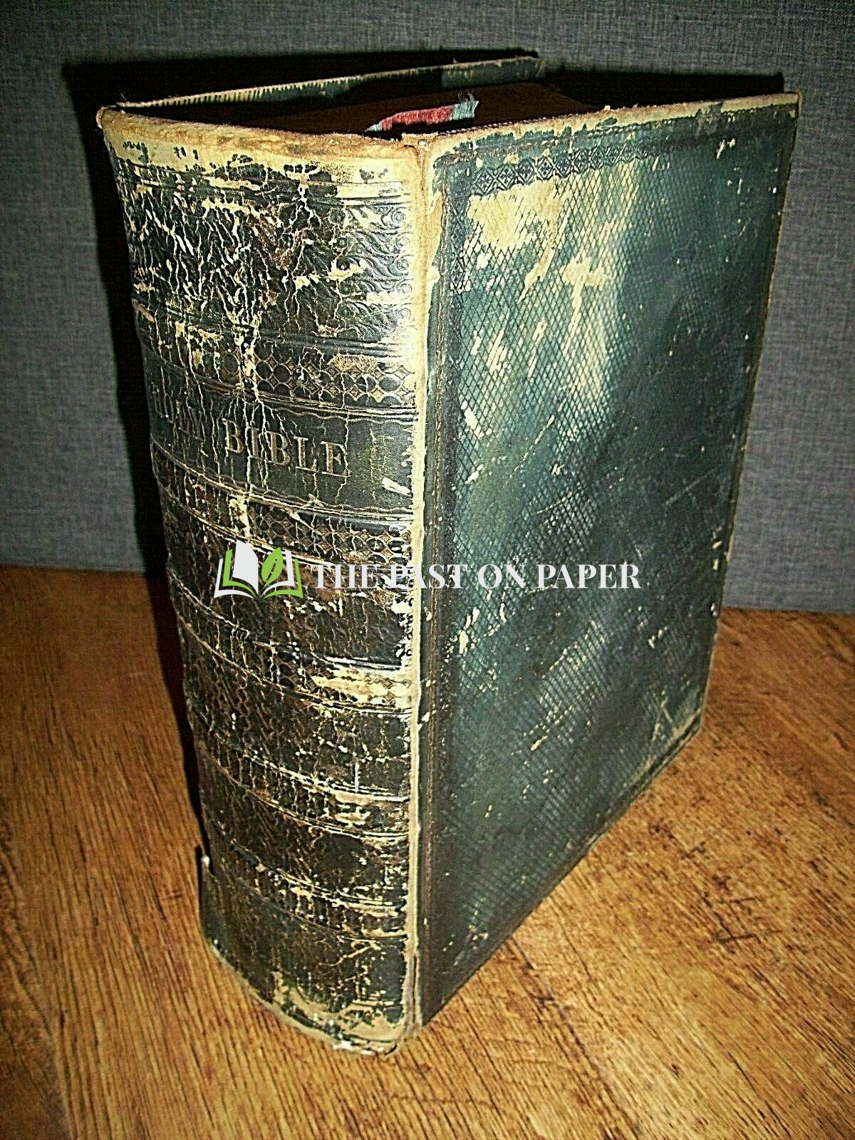 22285-jenkins-nelly-pauline