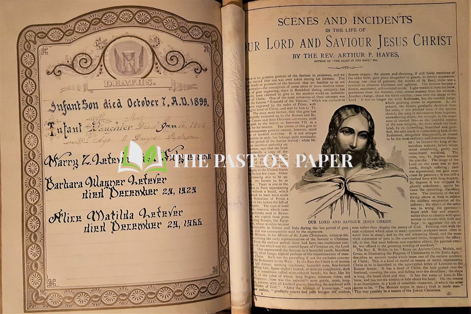 Lefever Family Bible - Image 5