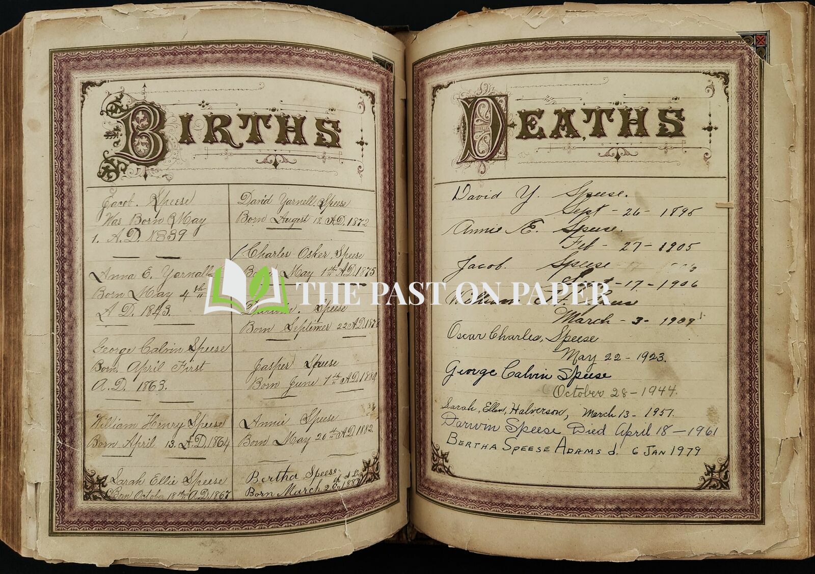 Speese Family Bible - Image 2